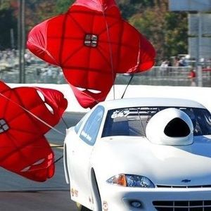 Meet your Posher, Sylvester